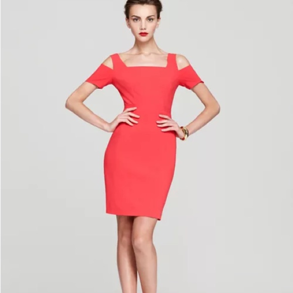 BCBG Max Azria “Ann” dress - Picture 6 of 6